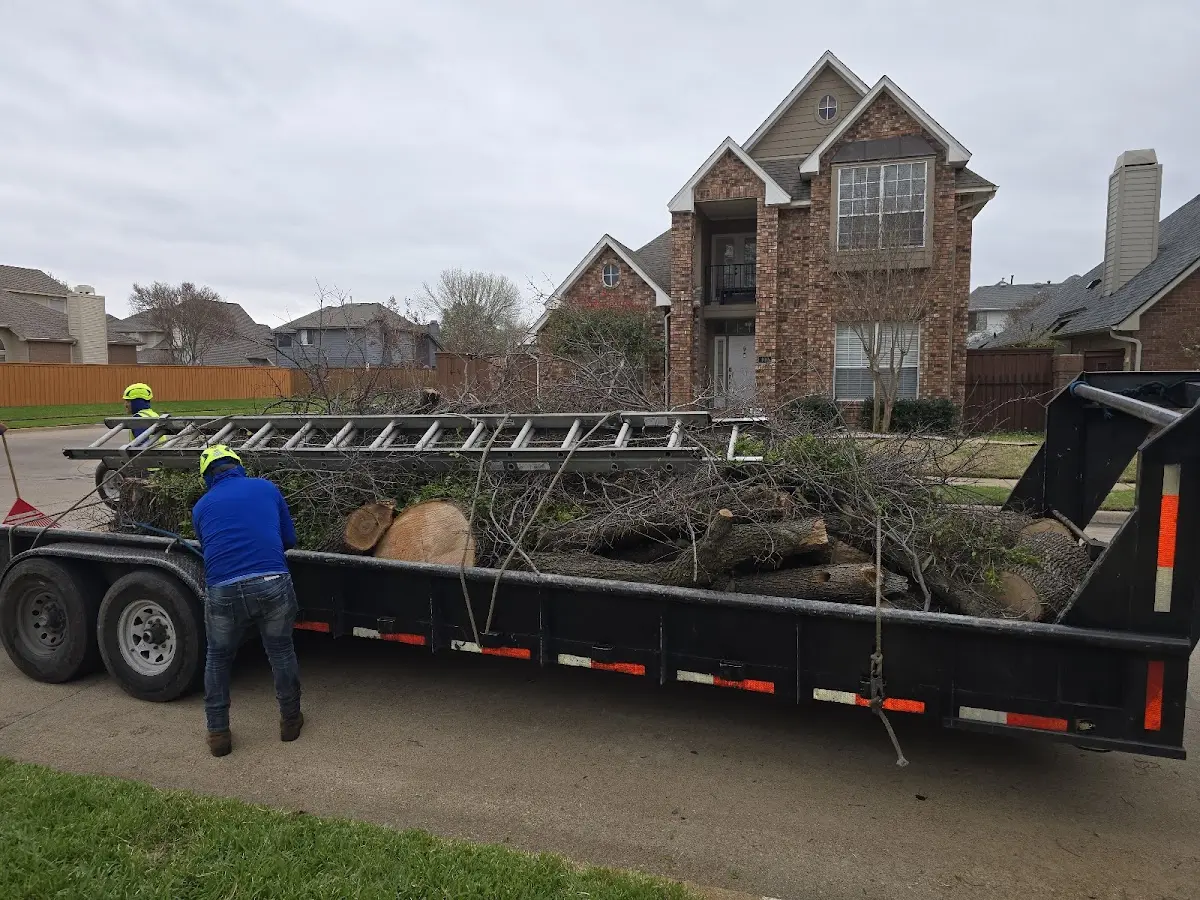 Expert Tree Removal with proper safety equipment in Home